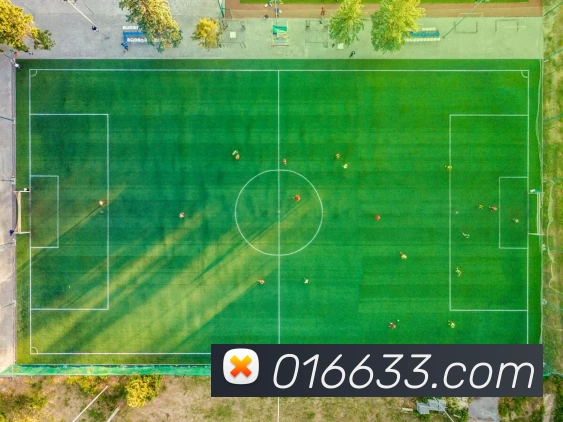 奖项图2